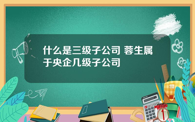 什么是三级子公司 蓉生属于央企几级子公司